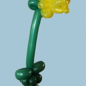 narcis ballon