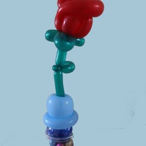 Ballon Roos