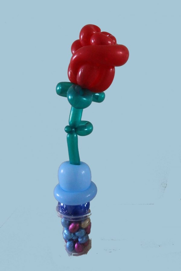 Ballon Roos